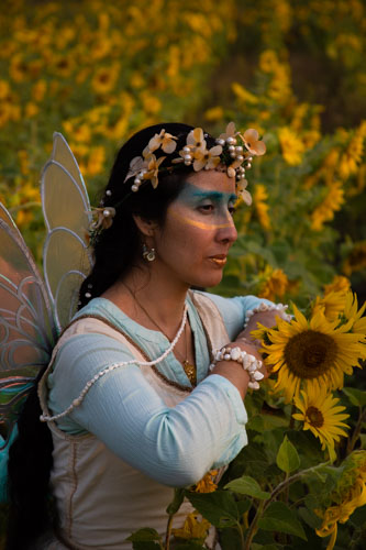 A woman in a fairy costume and fairy wings sits by sunflowers.